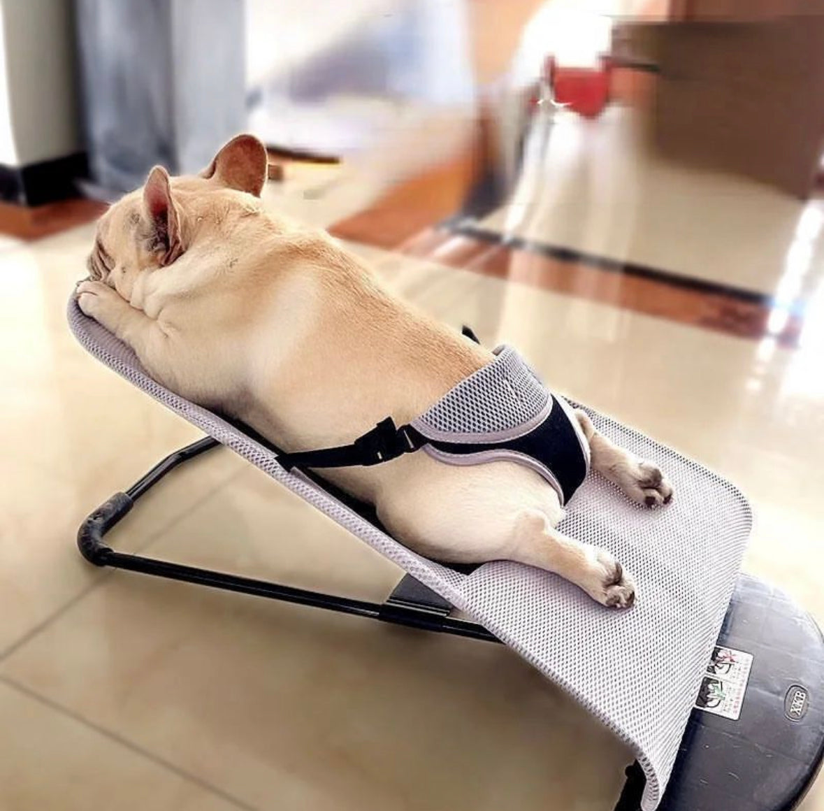 Friendchie Rocking Chair