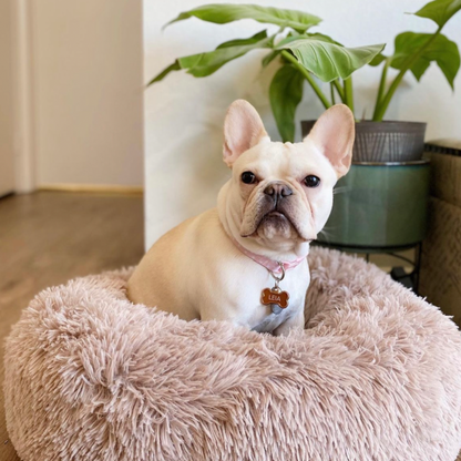 Stress-Relief Dog Bed