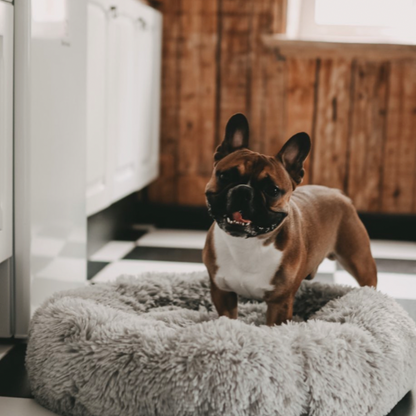 Stress-Relief Dog Bed
