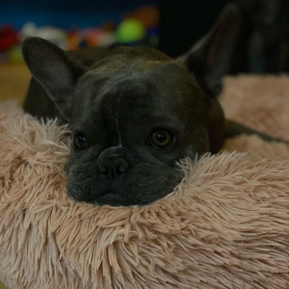 Stress-Relief Dog Bed