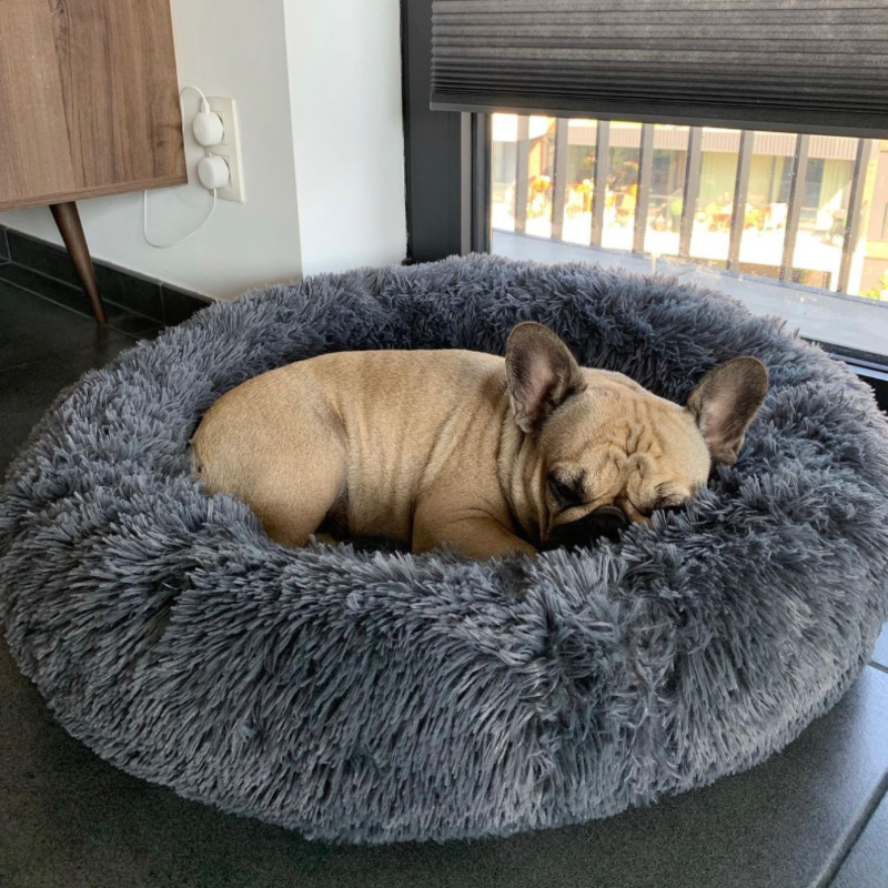 Stress-Relief Dog Bed