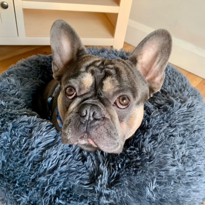 Stress-Relief Dog Bed