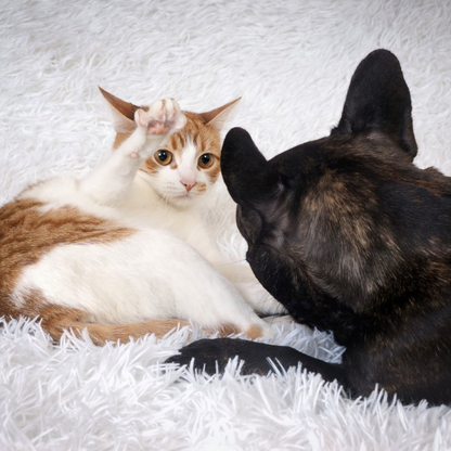 Stress-Relief Dog Bed