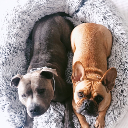 Stress-Relief Dog Bed