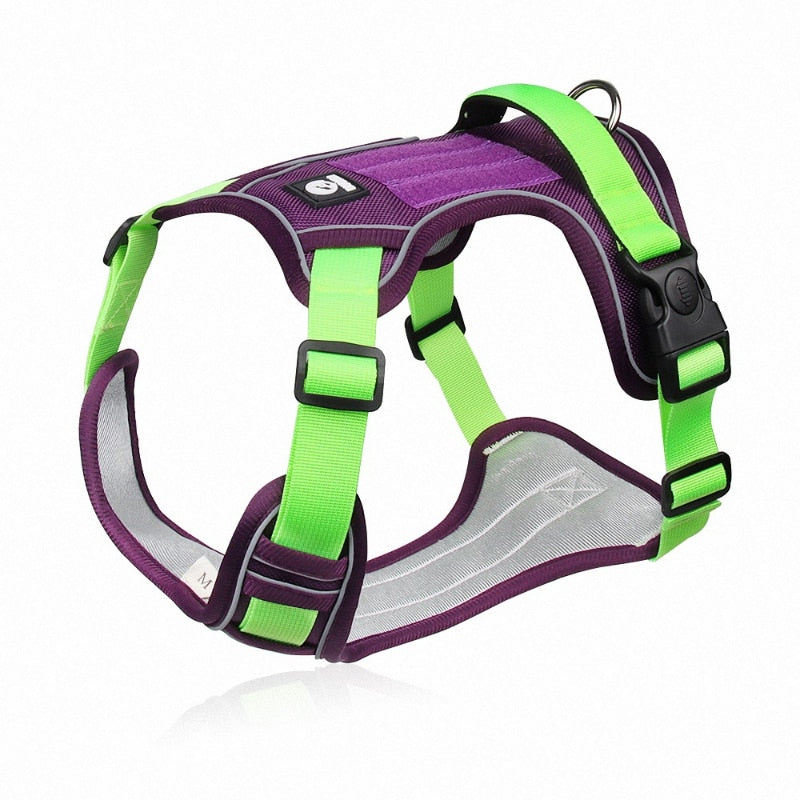 Safe Stride High Reflective Harness