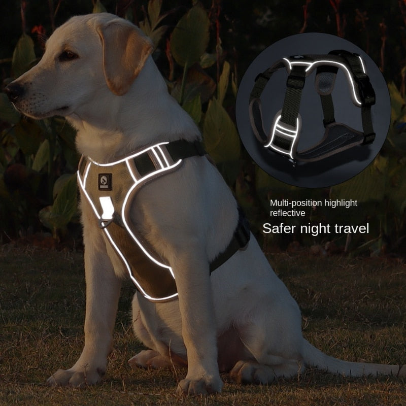 Safe Stride High Reflective Harness