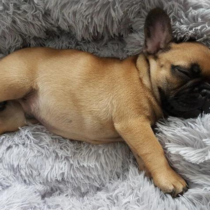 Stress-Relief Dog Bed