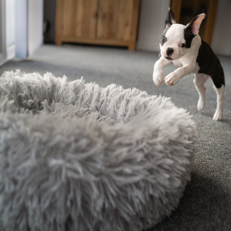 Stress-Relief Dog Bed