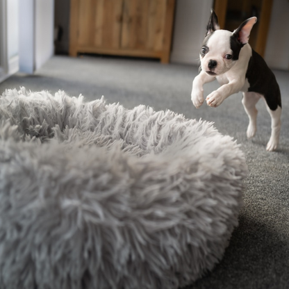 Stress-Relief Dog Bed