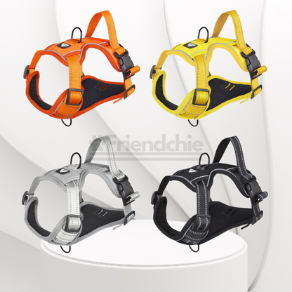 Quick-Release Harness
