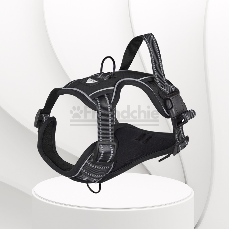 Quick-Release Harness