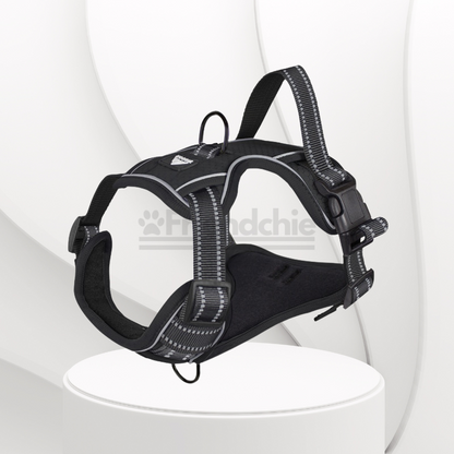 Quick-Release Harness