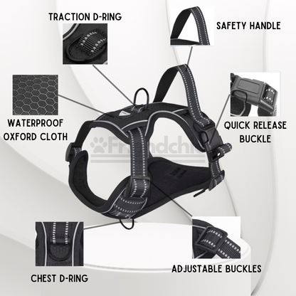 Quick-Release Harness
