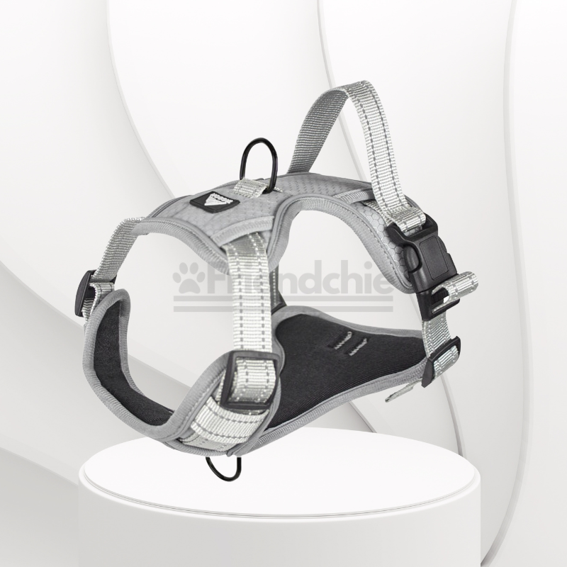 Quick-Release Harness