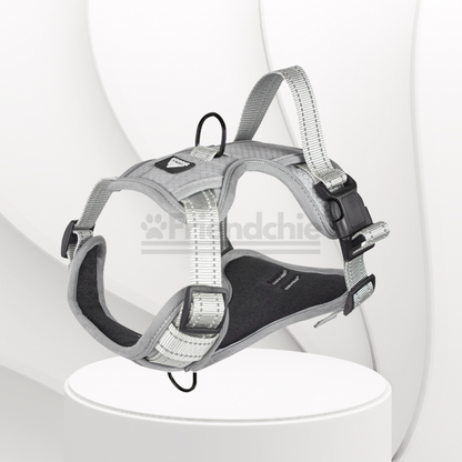 Quick-Release Harness