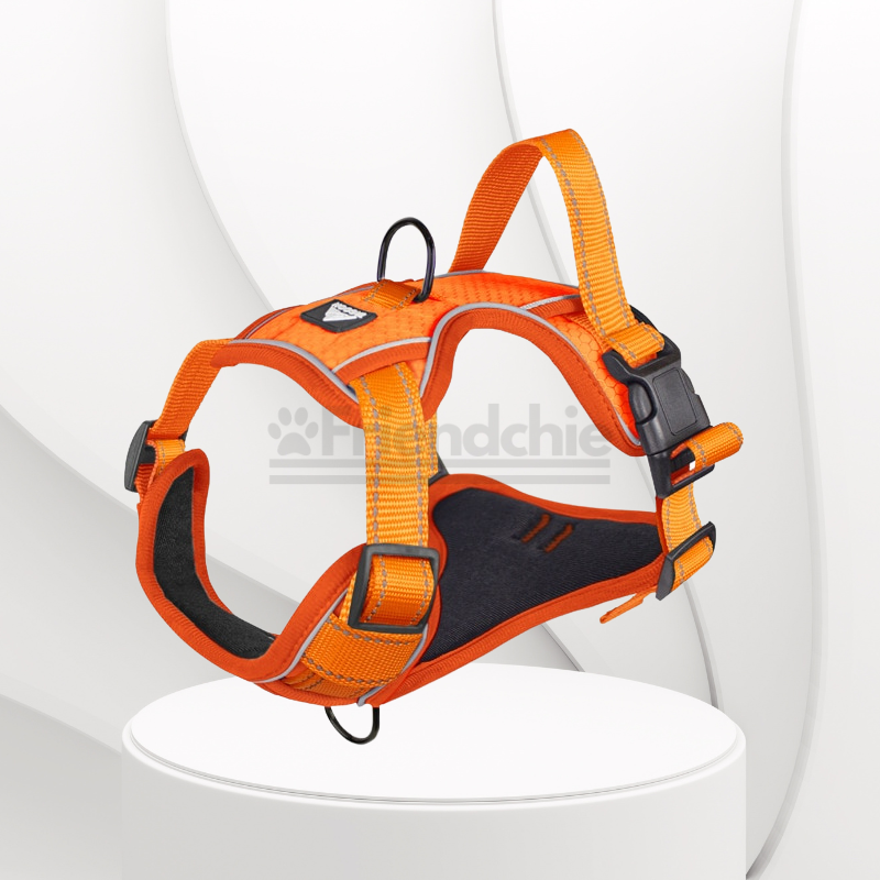 Quick-Release Harness