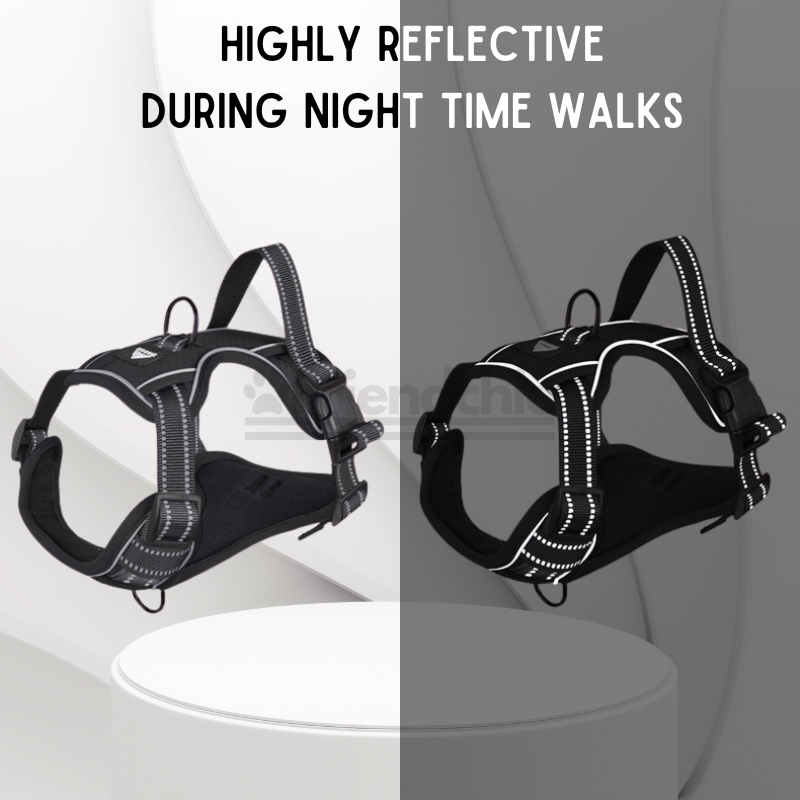 Quick-Release Harness