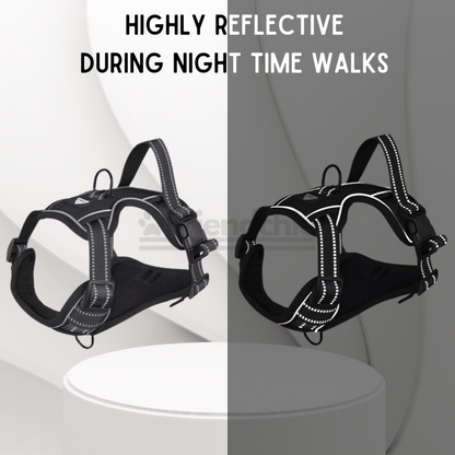Quick-Release Harness