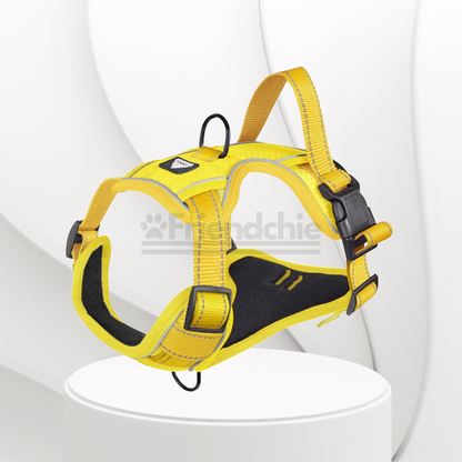 Quick-Release Harness